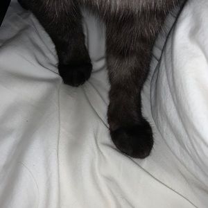 Meet your Posher, Chelsea